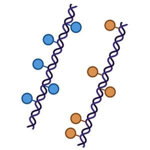 epigenomics logo 