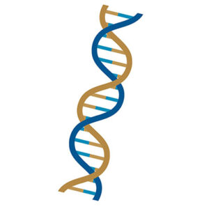 Genomics logo 